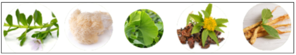 MemoShield Ingredients