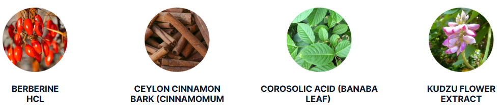Phytomem One Brain Fuel Restoration Complex