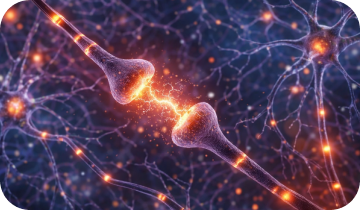 Phytomem One Neurons